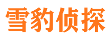 禹会捉小三公司